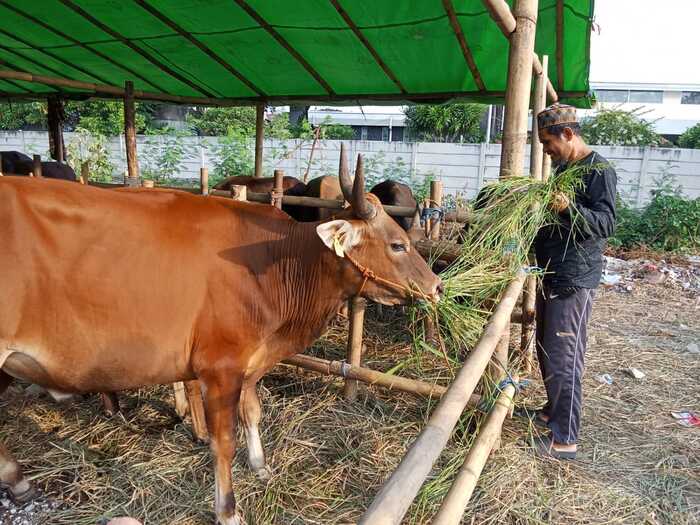 Berqurban Mempererat Ukhuwah&nbsp;Islamiyah